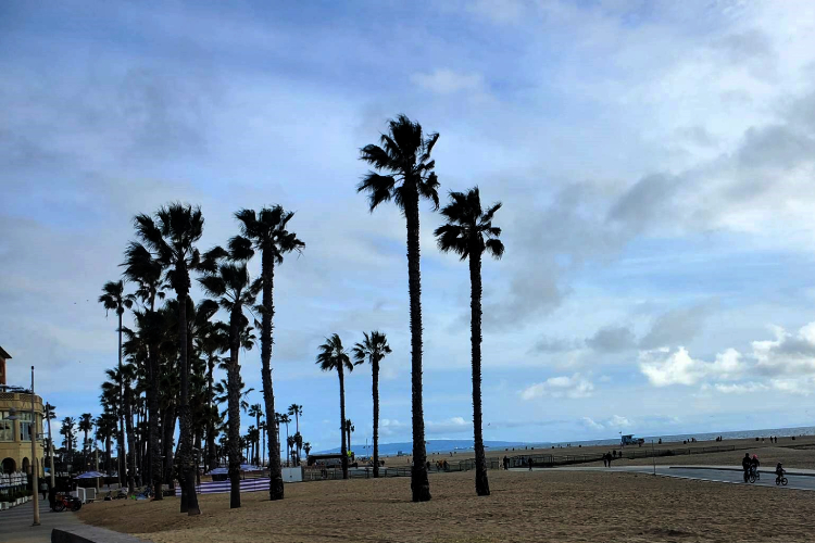 Beach Day at Santa Monica and Venice