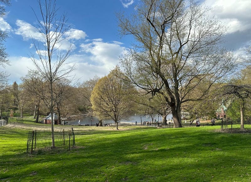 Central Park