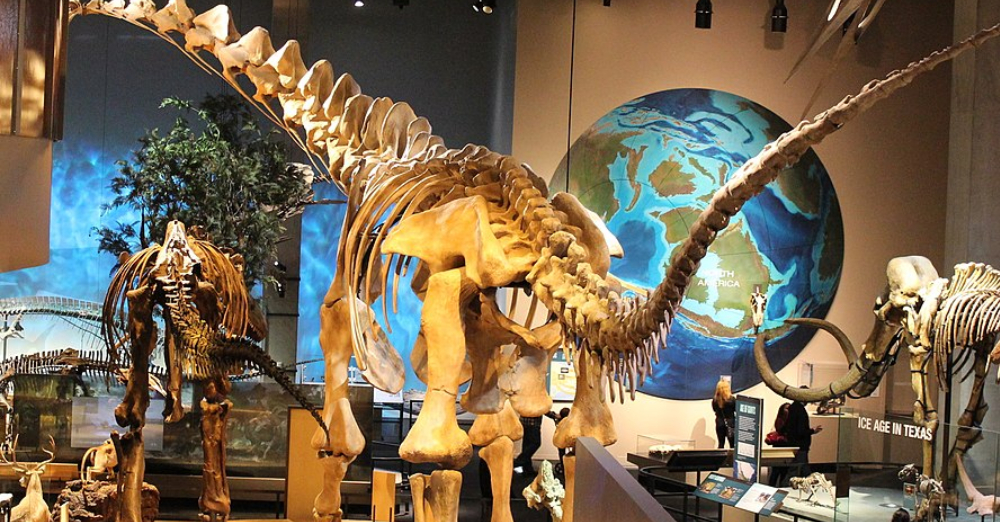 Discover the Perot Museum of Nature and Science