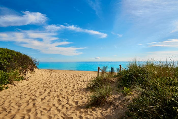 Explore Cape Cod National Seashore