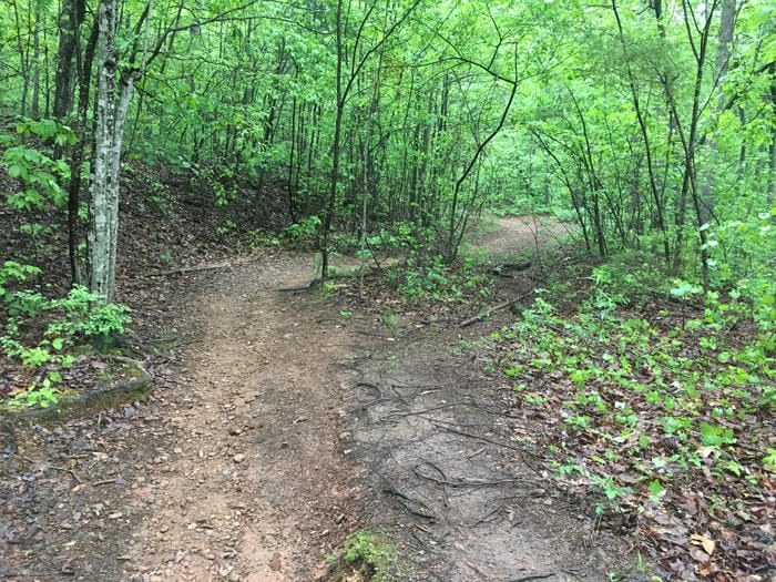 Hike at Paris Mountain State Park