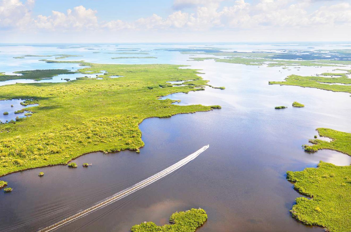 Perfect 2 Days in Everglades Itinerary