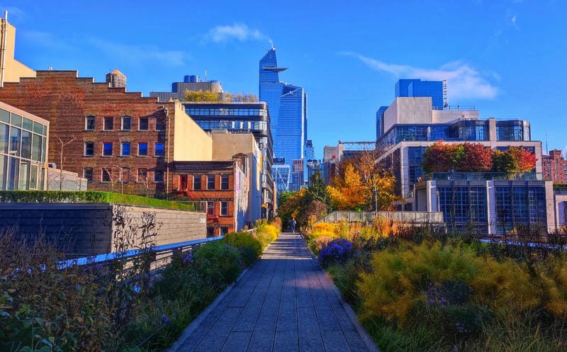 Strolling Through The High Line