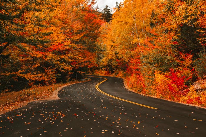 Take a Foliage Road Trip in Fall