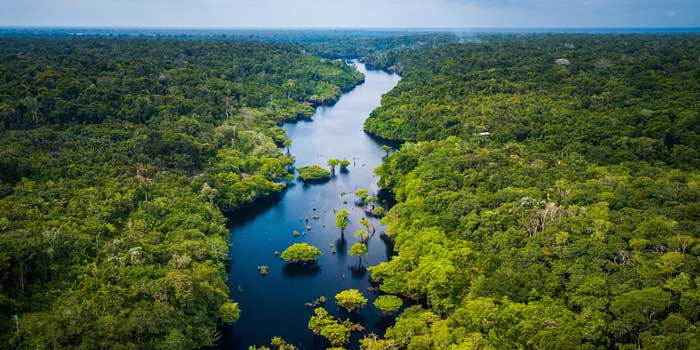 Trekking in the Bolivian Amazon