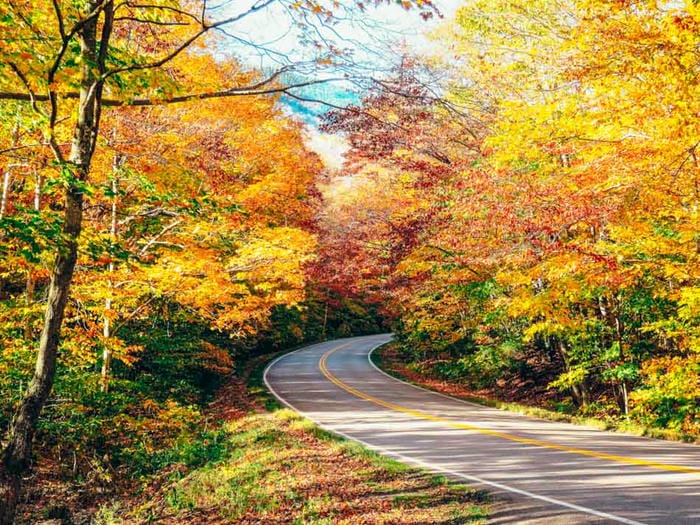 Unmissable Road Trip Stops in Maine