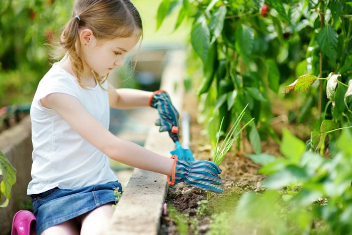 Visit the Children's Garden