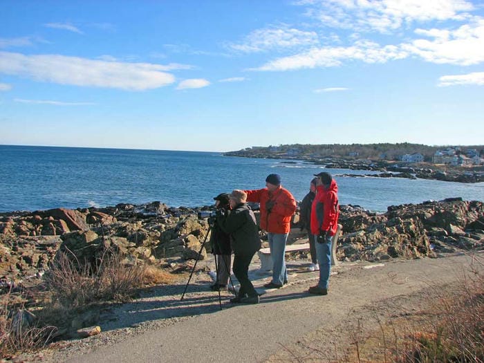 Walking the Marginal Way