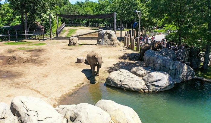 Wander Roger Williams Park Zoo