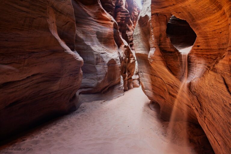 Wire Pass Slot Canyon Day Hike Guide