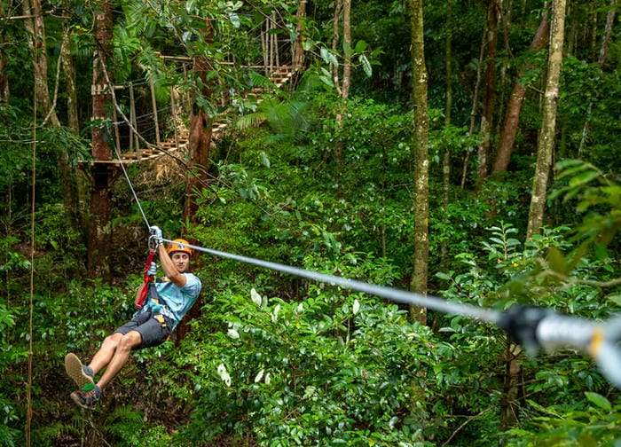 Zipline Through the Treetops