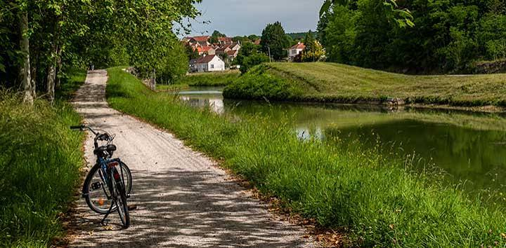 Experience a Bike Ride Along the Canals