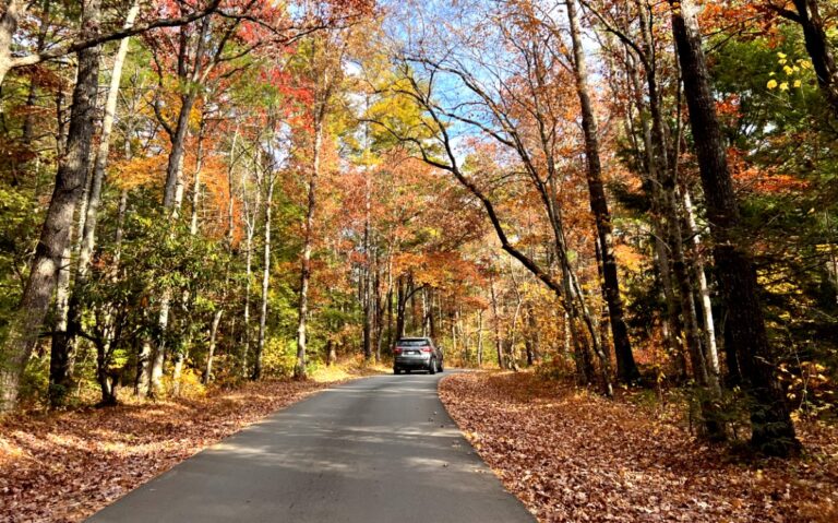 15 Best Tennessee Road Trips and Scenic Drives: Explore Now