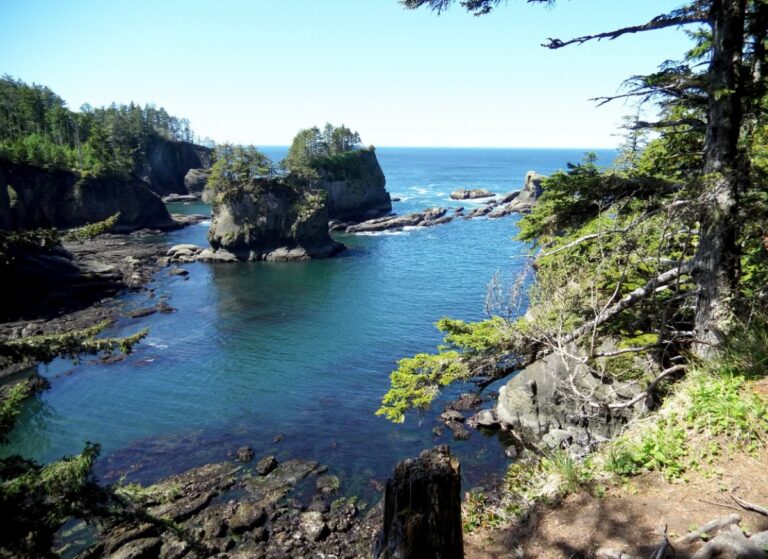 3 Days in Olympic Peninsula Itinerary