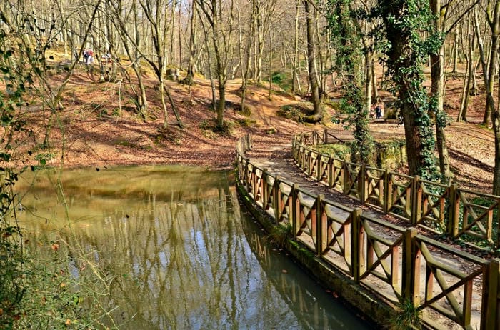 Belgrad Forest