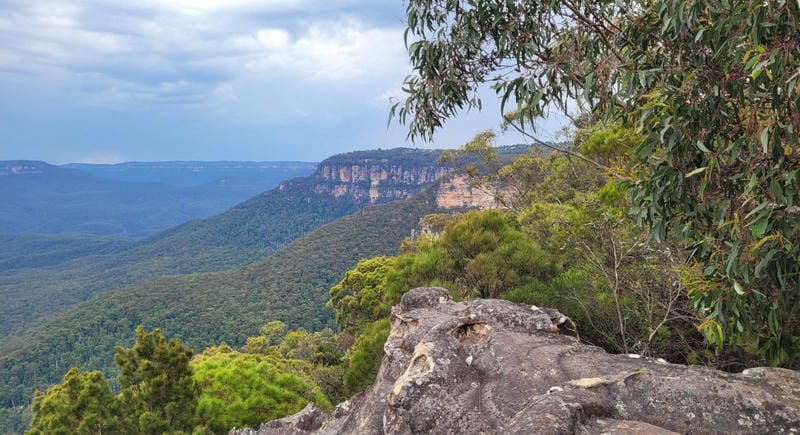 Blue Mountains National Park