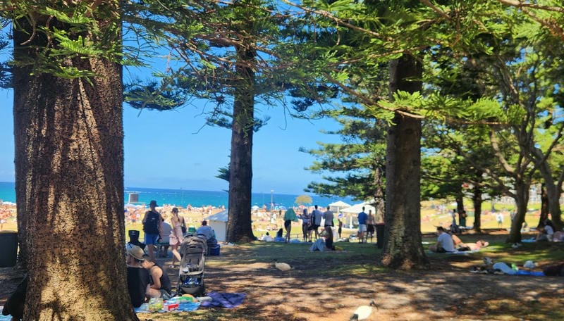 Bronte Beach