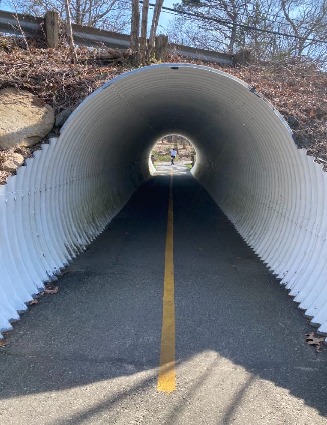 Cape Cod Rail Trail Experience