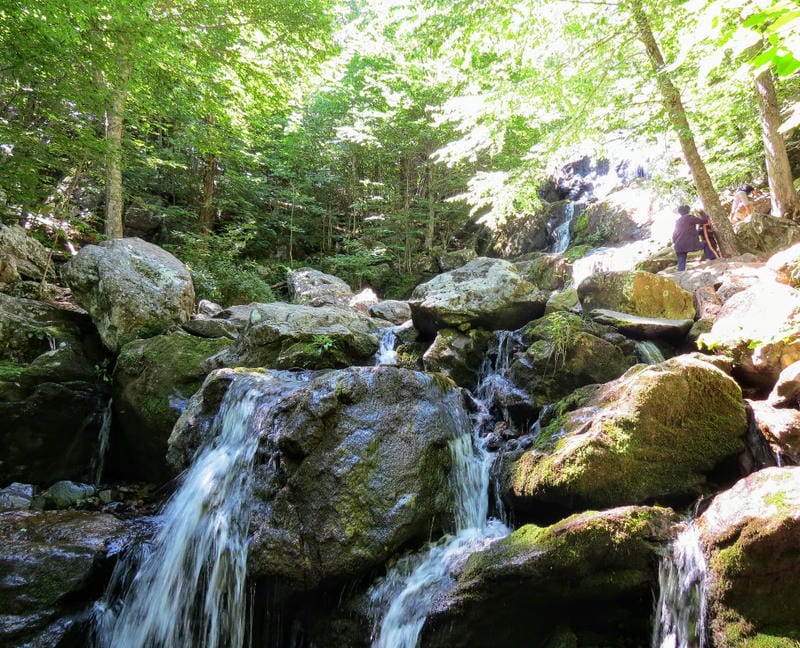 Dark Hollow Falls Trail