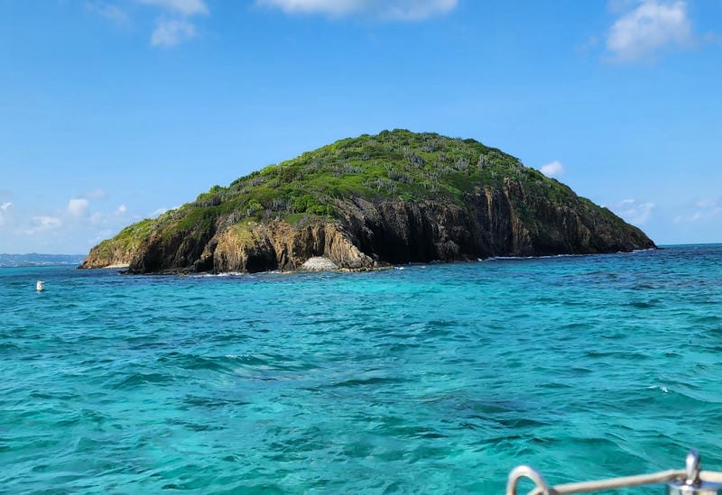 Discover Buck Island Reef National Monument (St. Croix)