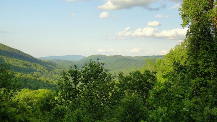 Discover Great Smoky Mountains National Park