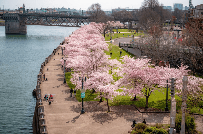 Discover Portland's Charm