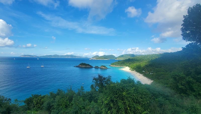 Discover Waterlemon Cay Snorkeling Spot (St. John)