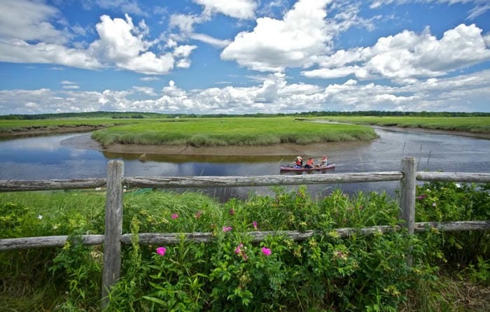 Discover the Wildlife at Scarborough Marsh Nature Center