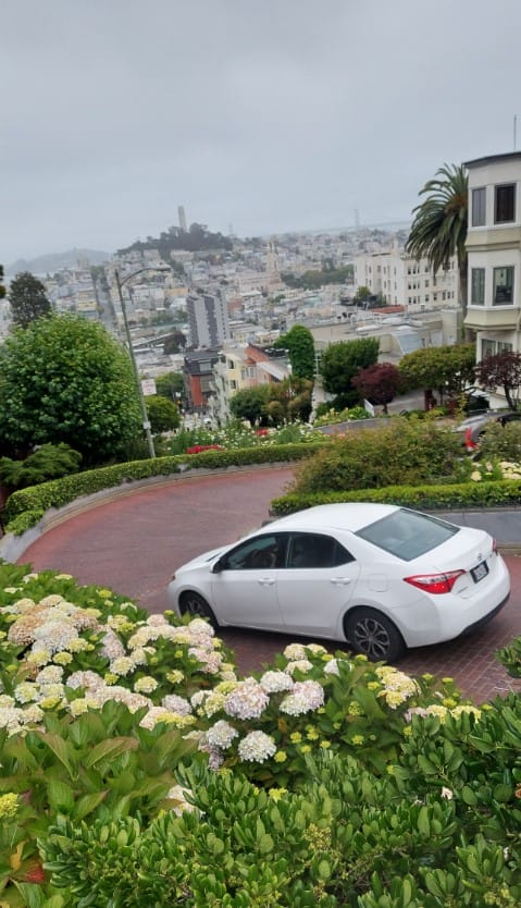 Drive Down Lombard Street