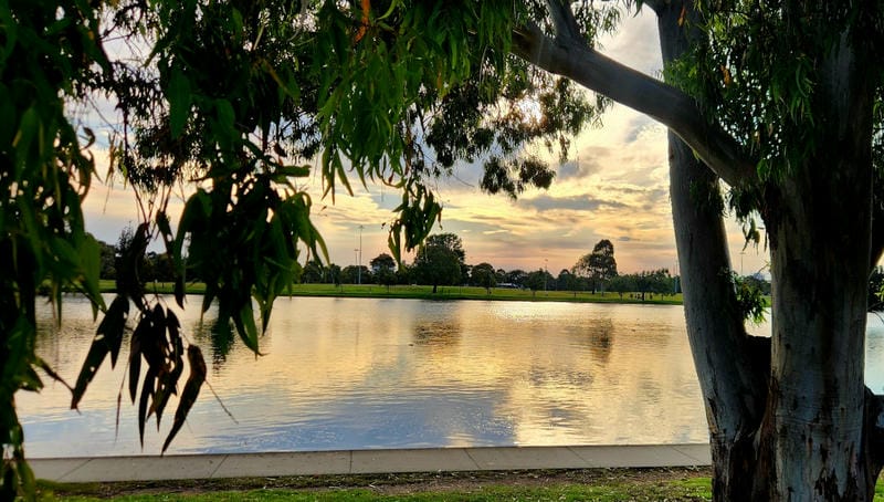  Enjoy a Picnic at Albert Park Lake