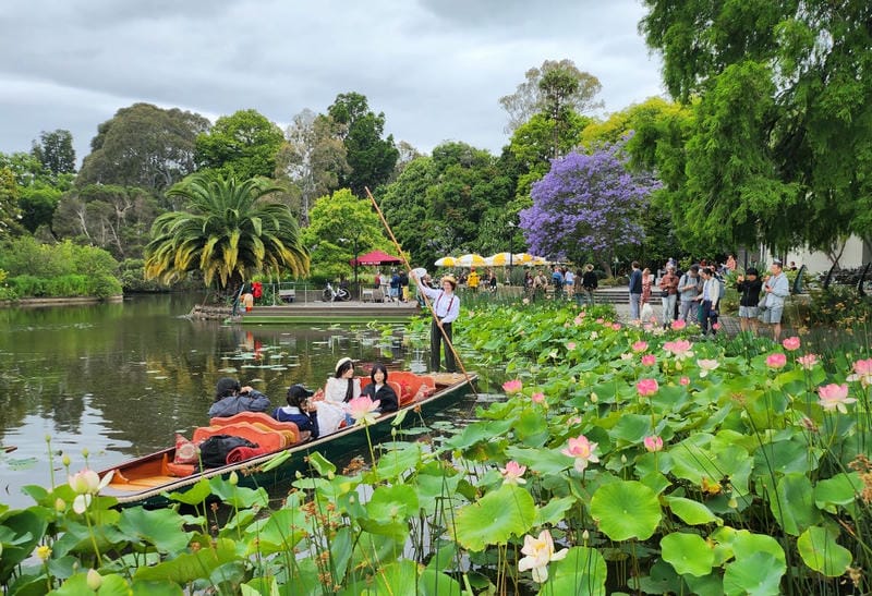 Experience Punting on the Lake at Royal Botanic Gardens