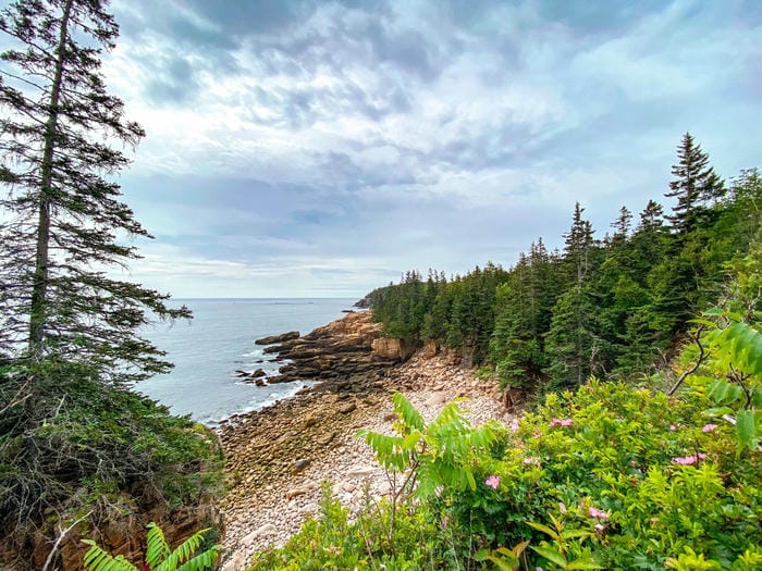 Explore Acadia National Park