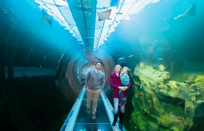 Explore Haus des Meeres Aquarium