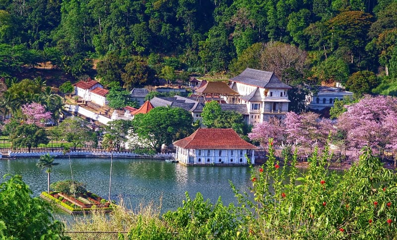 Explore Kandy’s Cultural Sites