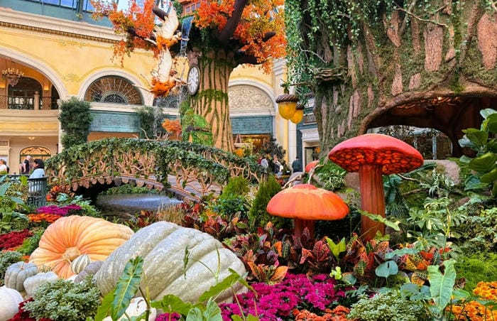 Explore the Bellagio Conservatory & Botanical Gardens