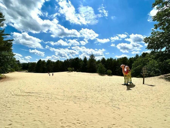 Explore the Enigmatic Desert of Maine