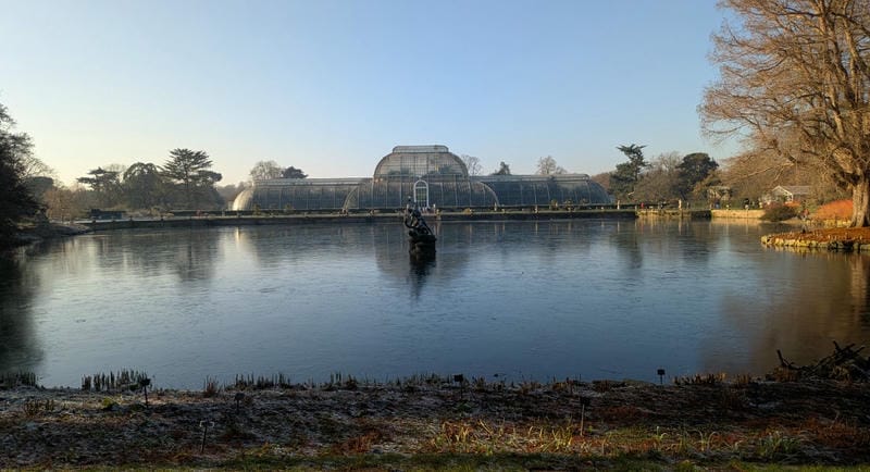 Explore the Royal Botanic Gardens