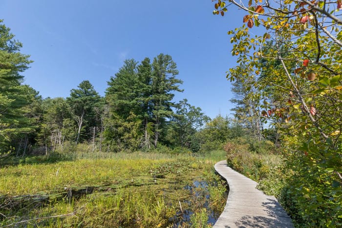 Exploring Ipswich River Wildlife Sanctuary