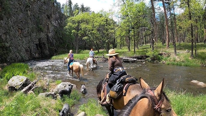 Go Horseback Riding