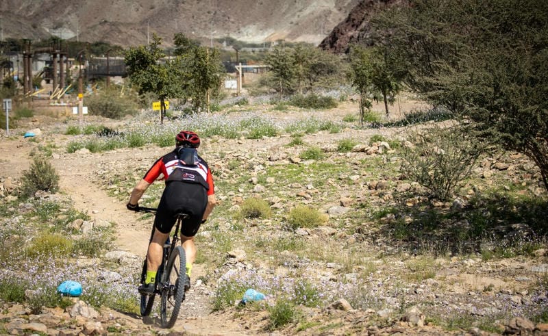 Mountain Biking in Hatta Mountains