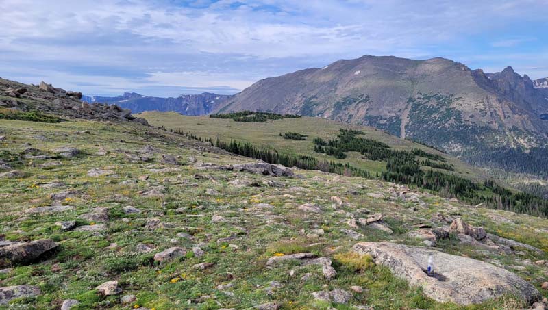 Observe Wildlife on the Ute Trail to Tombstone Ridge