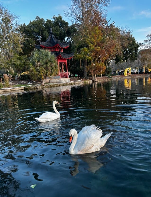 Relax at Lake Eola Park