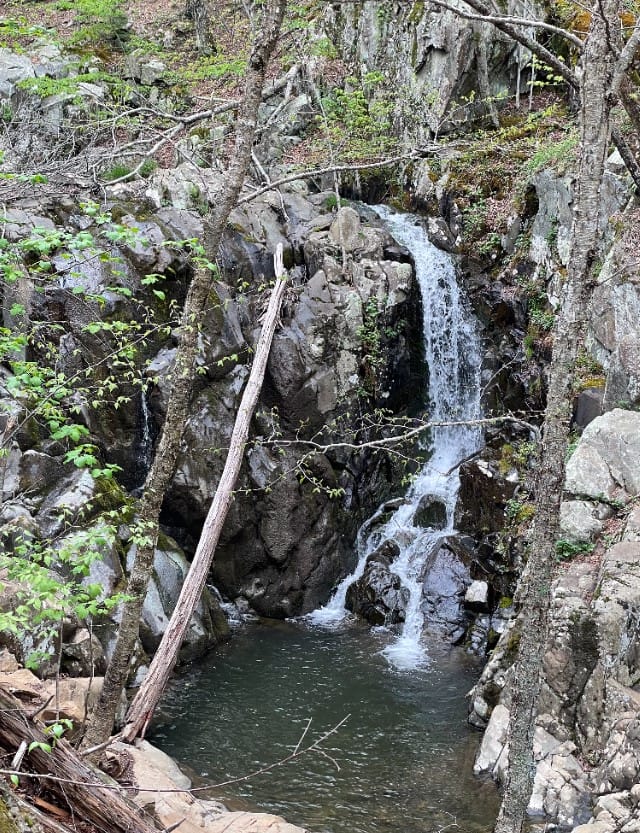 Rose River Loop Trail