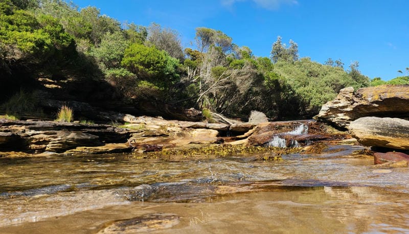 Royal National Park