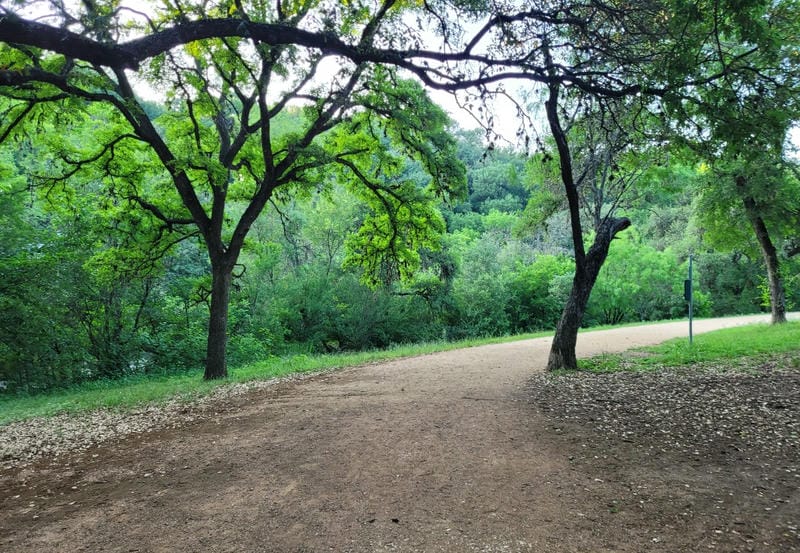 Walk Along Shoal Creek Trail