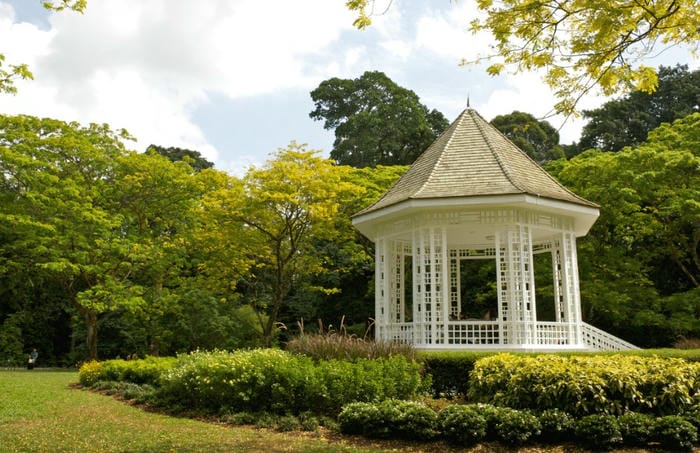 Stroll Through the Singapore Botanic Gardens (UNESCO Site)