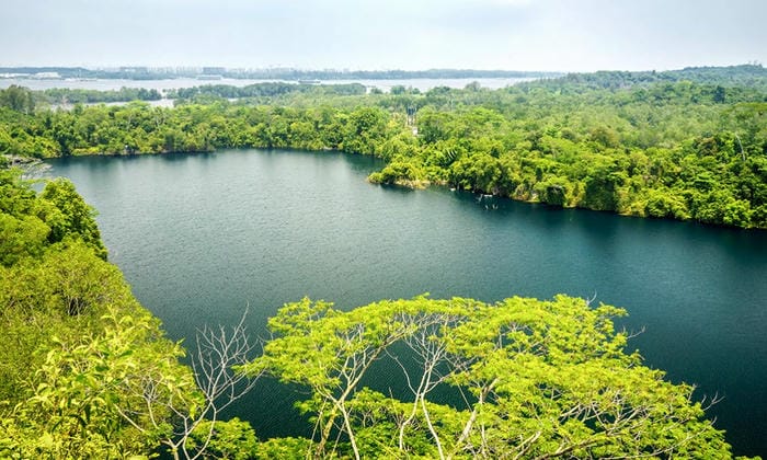 Take a Day Trip to Pulau Ubin for Rustic Charm & Nature Trails