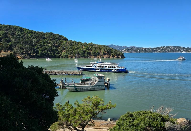 Take a Ferry to Angel Island