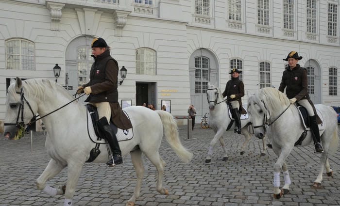 Tour the Spanish Riding School