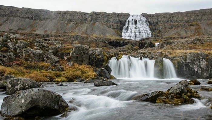 Tour the Westfjords